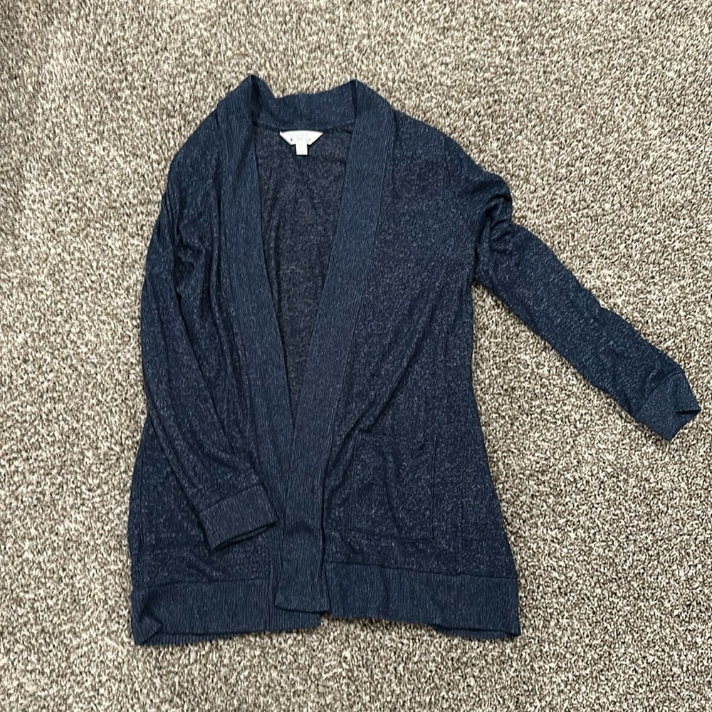 Blue Cardigan